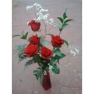 Roses THETIS 5x XXXL 60 cm Nr 716